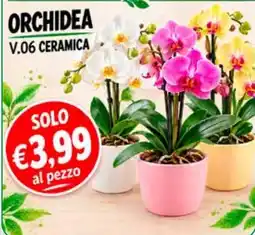 èccoMI Orchidea V.06 Ceramica offerta