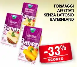 èccoMI Formaggi affettati senza lattosio Bayernland offerta