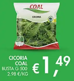 Superstore Coal Cicoria Coal offerta