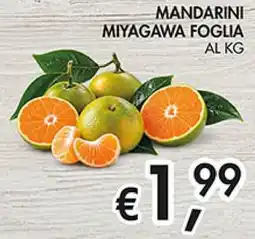 Superstore Coal Mandarini Miyagawa Foglia offerta