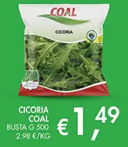 Coal Cicoria Coal offerta