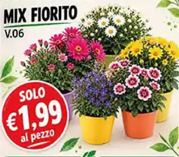 Coal Mix fiorito V.06 offerta