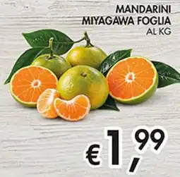 Coal Mandarini Miyagawa Foglia offerta