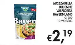 Coal Mozzarella julienne valfiorita bayer offerta