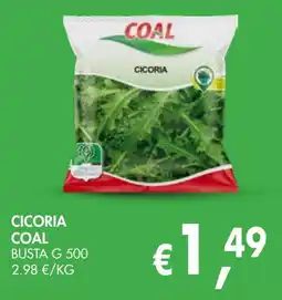 èccoMI Cicoria Coal offerta
