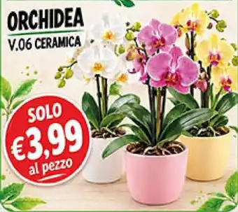 Orchidea V.06 Ceramica