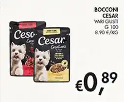 Superstore Coal Bocconi Cesar offerta