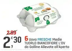 Supermercati Dok Uova FRESCHE Medie offerta