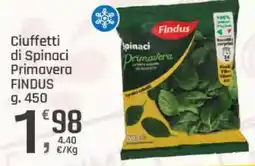 Supermercati Dok Ciuffetti di Spinaci Primavera Findus offerta