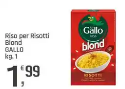 Supermercati Dok Riso per Risotti Blond Gallo offerta