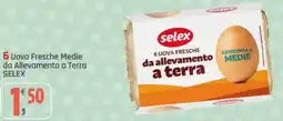 Supermercati Dok Uova Fresche Medie da Allevamento a Terra SELEX offerta
