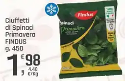 Supermercati Dok Ciuffetti di Spinaci Primavera Findus offerta