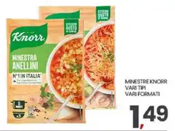 Eurospar Minestra anellini Knorr offerta