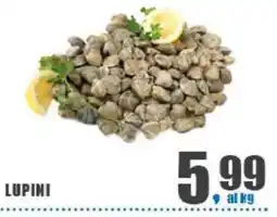 Eurospar Lupini offerta