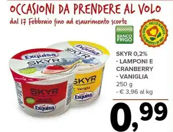 Skyr lamponi e cranberry
