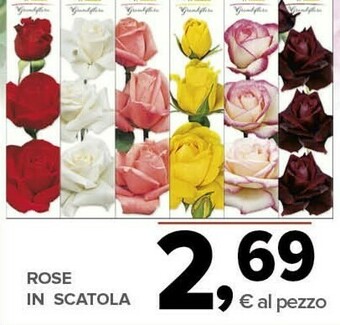 Todis Rose in scatola offerta