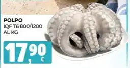 Eté Polpo offerta