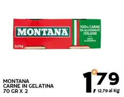 Extra Supermercati Montana carne in gelatina offerta