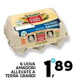Extra Supermercati Uova Amadori allevate a terra grandi offerta