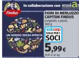 Coop Fiori di Merluzzo Capitan Findus offerta