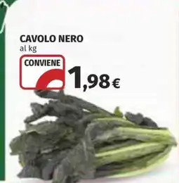 Coop Cavolo nero offerta