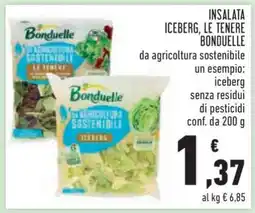 Conad INSALATA ICEBERG, LE TENERE BONDUELLE offerta