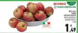 Conad Mele Gala offerta