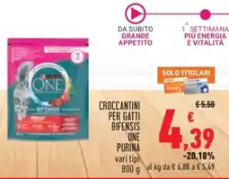Conad CROCCANTINI PER GATTI BIFENSIS ONE PURINA offerta