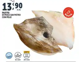 Deco Superfreddo Filetto di pesce San Pietro con pelle offerta