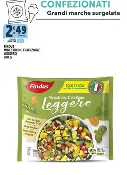 Deco Superfreddo Findus Minestrone Tradizione Leggero offerta