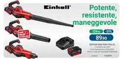 Cfadda Einhell soffiatore per foglie offerta
