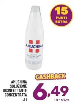 Il Centesimo Amuchina soluzione disinfettante concentrata offerta
