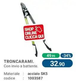 Cfadda Troncarami offerta