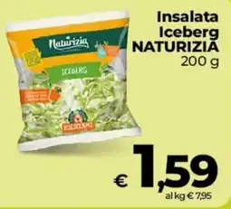 Coop Radenza Insalata Iceberg Naturizia offerta