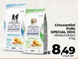 Coop Radenza Croccantini Pollo SPECIAL DOG offerta