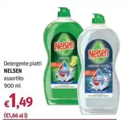 Futura Supermercati Detergente piatti NELSEN assortito offerta