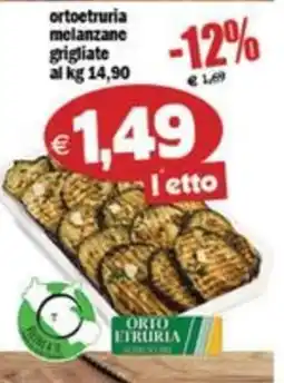 Il Castoro Supermercati ortoetruria melanzane grigliate offerta