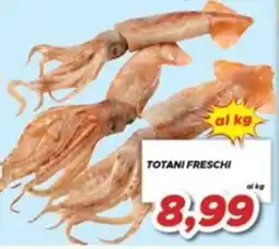 MA Supermercati Totani freschi offerta