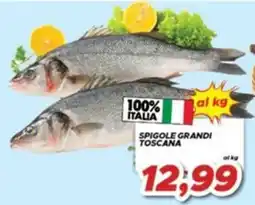 MA Supermercati Spigole grandi Toscana offerta