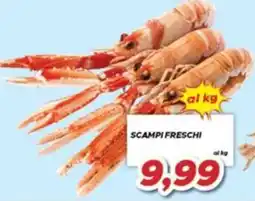 MA Supermercati Scampi freschi offerta