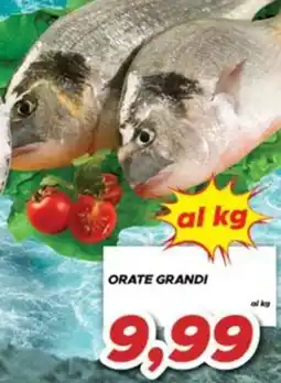 MA Supermercati Orate grandi offerta
