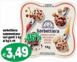 Il Castoro Supermercati Sorbettiera sammontana offerta