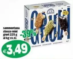 Il Castoro Supermercati Sammontana stecco mini gruvi offerta