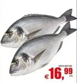 Pewex Orata offerta