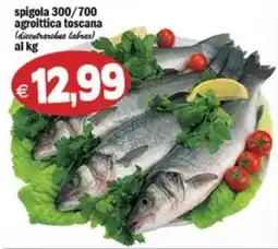 Il Castoro Supermercati spigola agroittica toscana offerta