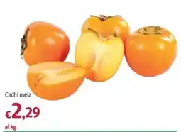 Futura Supermercati Cachi mela offerta