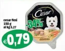 Il Castoro Supermercati Cesar flexi offerta