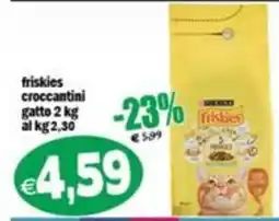 Il Castoro Supermercati friskies croccantini gatto offerta