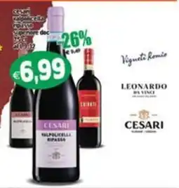 Il Castoro Supermercati Cesari Valpolicella Ripasso offerta
