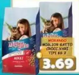 MercADone Migliore Gatto Morando offerta